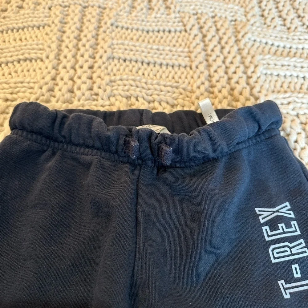 H&M T-Rex Dinosaur Blue and Gray Sweatshirt and Pants Size 3T